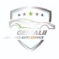 Service Auto Genialii